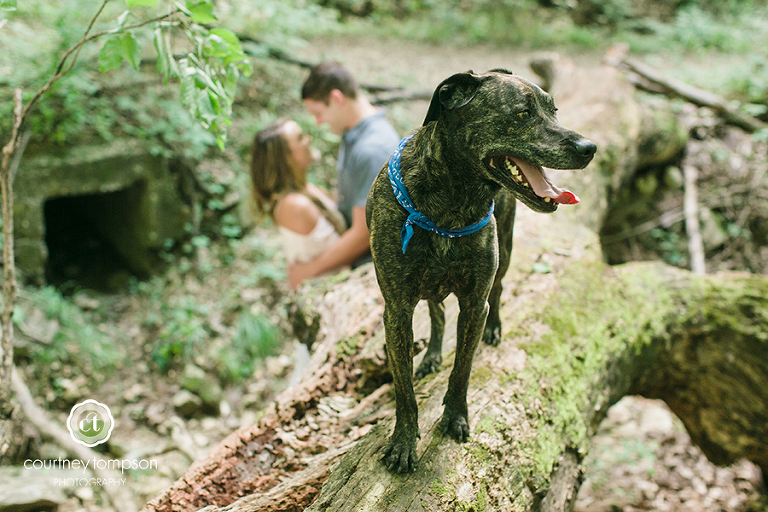 Rockbridge-Dtate-Park-Engagement-Session-by-Columbia-MO-Wedding-Photographer-Courtney-Tompson