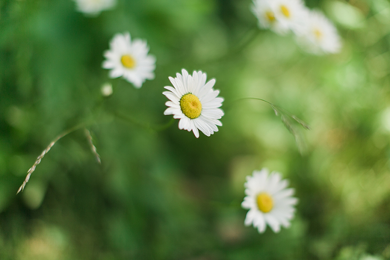 telluride-and-colorado-spring-colorado-by-courtney-tompson-photography-travel-photos