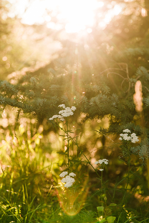 telluride-and-colorado-spring-colorado-by-courtney-tompson-photography-travel-photos