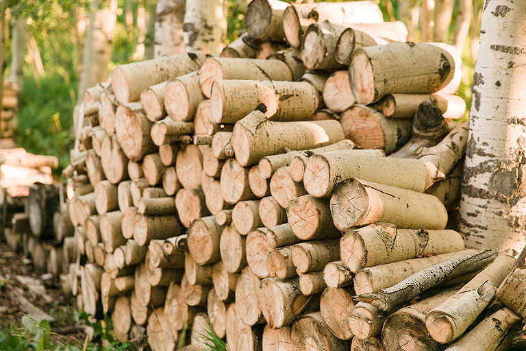 telluride-and-colorado-spring-colorado-by-courtney-tompson-photography-travel-photos