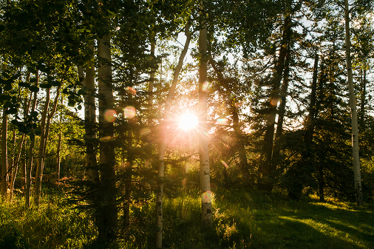 telluride-and-colorado-spring-colorado-by-courtney-tompson-photography-travel-photos