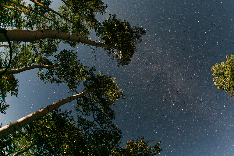 telluride-and-colorado-spring-colorado-by-courtney-tompson-photography-travel-photos