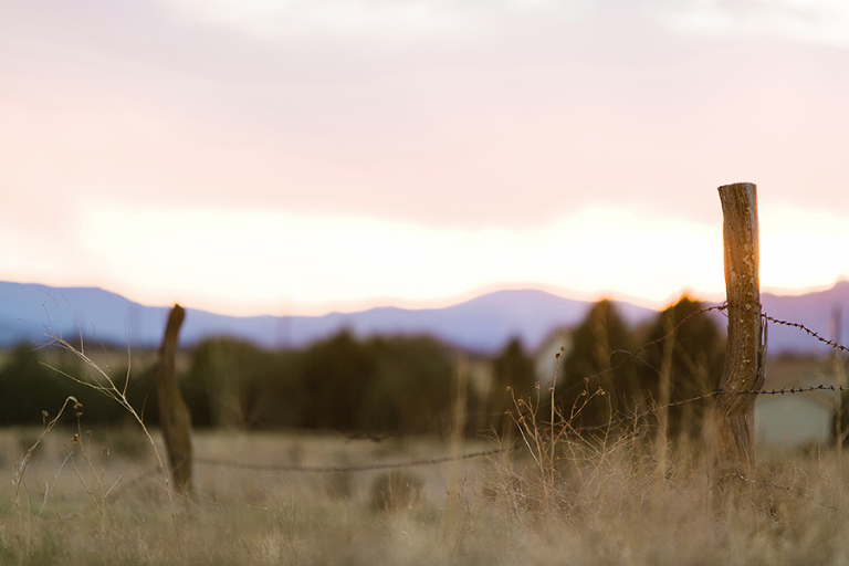 telluride-and-colorado-spring-colorado-by-courtney-tompson-photography-travel-photos