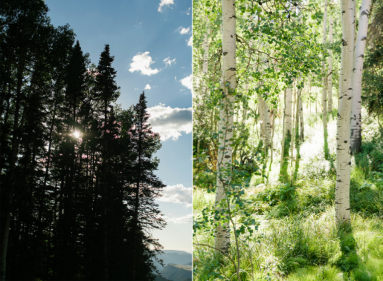 telluride-and-colorado-spring-colorado-by-courtney-tompson-photography-travel-photos