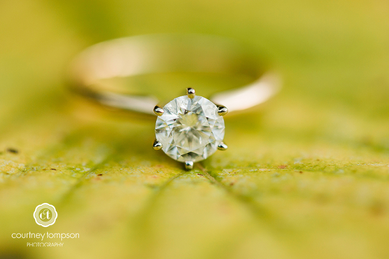 Columbia-MO-Engagement-Session-by-Wedding-Photographer-Courtney-Tompson