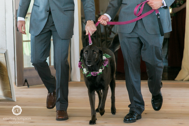 Midwest-Wedding-Photography-at-blue-bell-farm-by-Courtney-Tompson-Photography