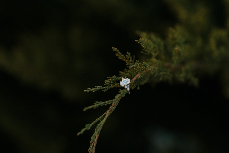 Missouri Proposal Photographer, Snowy Engagement Photos, Hermann Hill Proposal, Missouri Wedding Photographer, Engagement Photography in Missouri